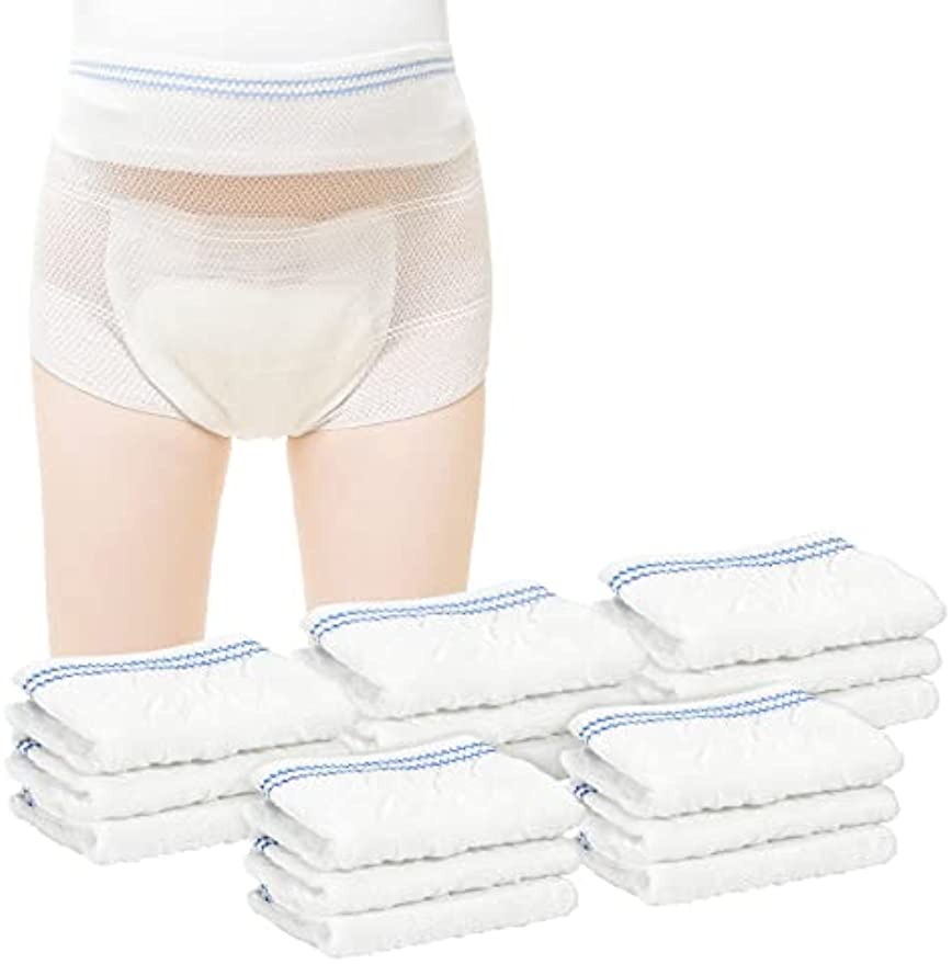 Mesh Underwear Postpartum Disposable C-Section Recovery Maternity Panties Briefs Stretchy, Lightweight 2721-15