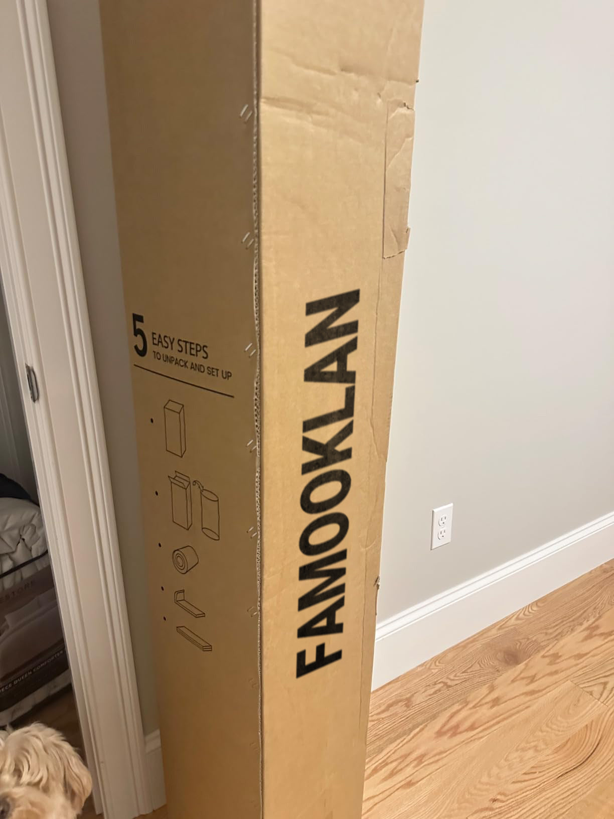 FAMOOKLAN 10 Inch Full Size Mattress, Full Mattress in a Box for Pain Relief & Motion Isolation, CertiPUR-US Certified Full Bed Mattress